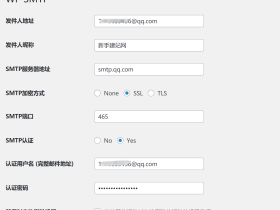WordPress 发送邮件插件:WP SMTP